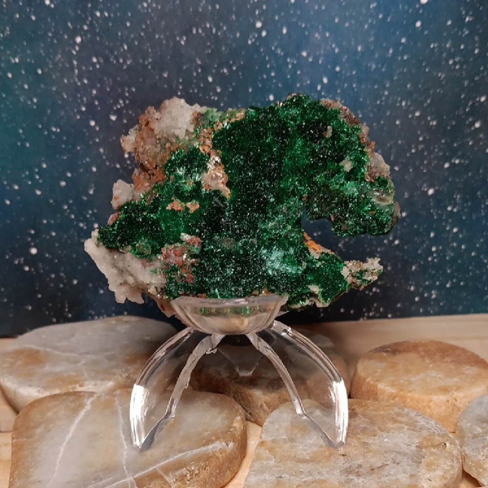 Final Price! 2 1/4" Brochantite Crab Claw Chunk